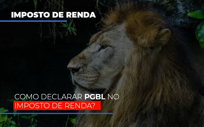 Ir2020:como Declarar Pgbl No Imposto De Renda - Notícias e Artigos Contábeis